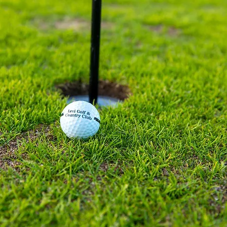 Appartamento In Lapland - Sointuilevi3 A59