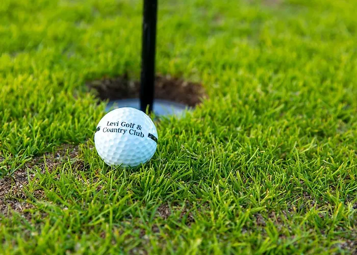 Апартаменты In Lapland - Sointuilevi3 A59